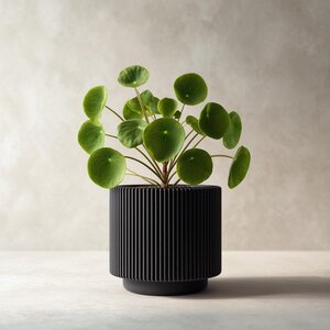 3D Printed Modern Black Planter | Minimalist Ribbed Plant Pot | Contemporary Indoor Planter | Unique Gift for Plant Lovers | Home Decor