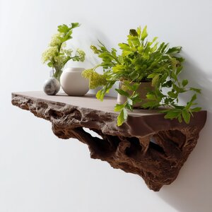 Root Inspired Floating Shelf | 3D Printed Wall Shelf Brown | Organic Wall Ledge for Plants | Nature Decor for Modern Rustic Interiors