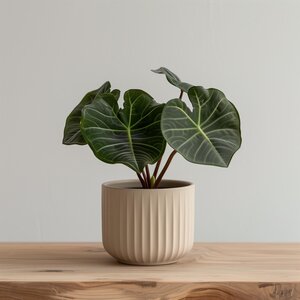 3D Printed Ribbed Planter | Modern Minimalist Plant Pot | Contemporary Indoor Planter | PLA Plastic Pot | Gift for Plant Lovers