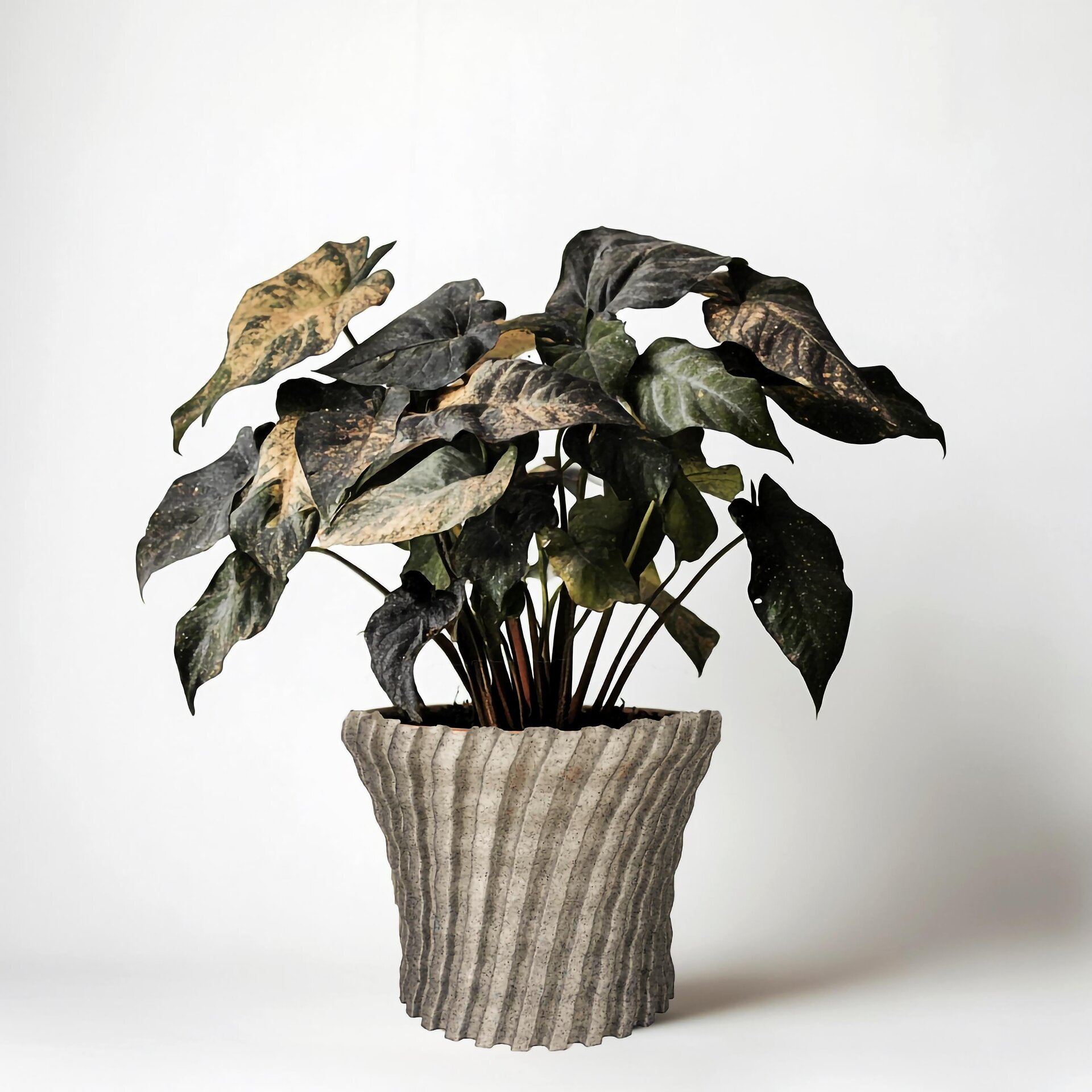 Modern Zig Zag Planter Cover | 3D Printed Decorative Pot Cover | Indoor Plant Pot Sleeve | Minimalist Home Decor